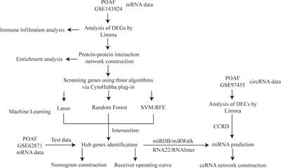 Immune-associated pivotal biomarkers identification and competing endogenous RNA network construction in post-operative atrial fibrillation by comprehensive bioinformatics and machine learning strategies